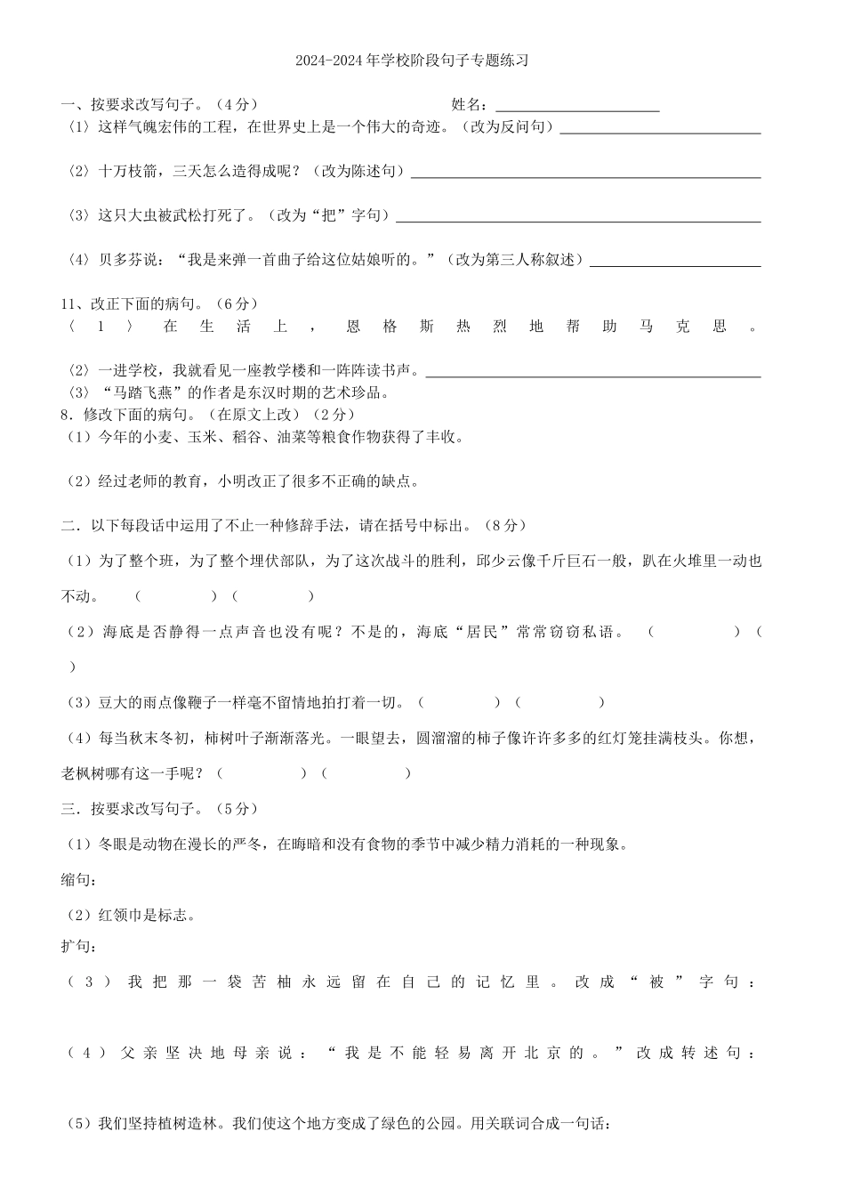 2024-2024年小学阶段句子专题练习_第1页