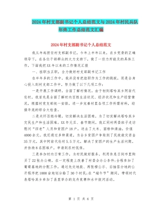 2024年村支部副书记个人总结范文与2024年村民兵队年终工作总结范文汇编