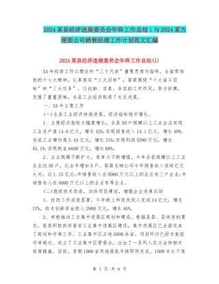 2024某县经济发展委员会年终工作总结1与2024某方便面公司销售经理工作计划范文汇编