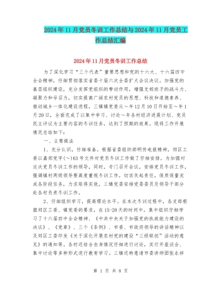 2024年11月党员冬训工作总结与2024年11月党员工作总结汇编