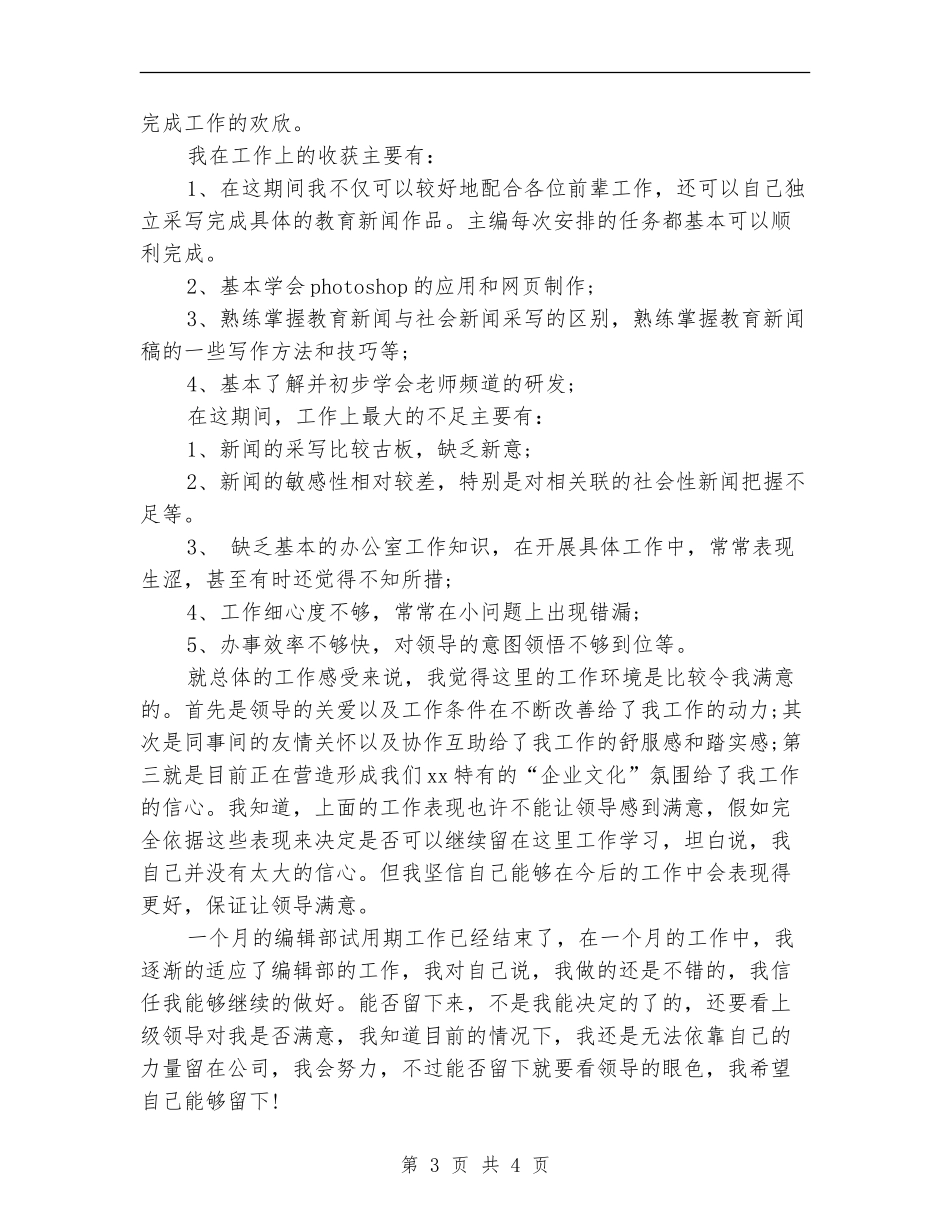 编辑试用期转正工作总结_第3页