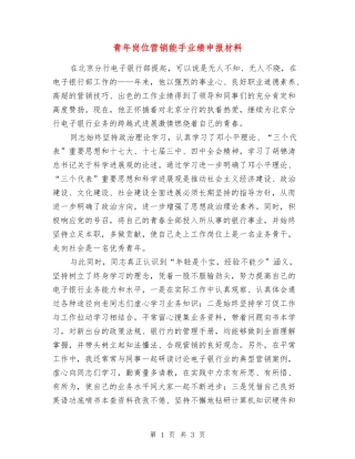 青年岗位营销能手业绩申报材料