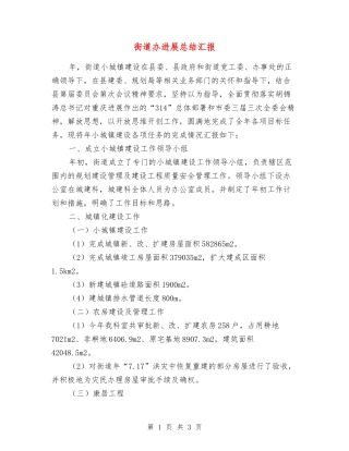 街道办发展总结汇报