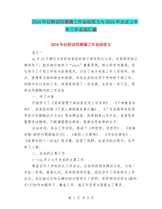 2024年任职试用期满工作总结范文与2024年企业上半年工作总结汇编