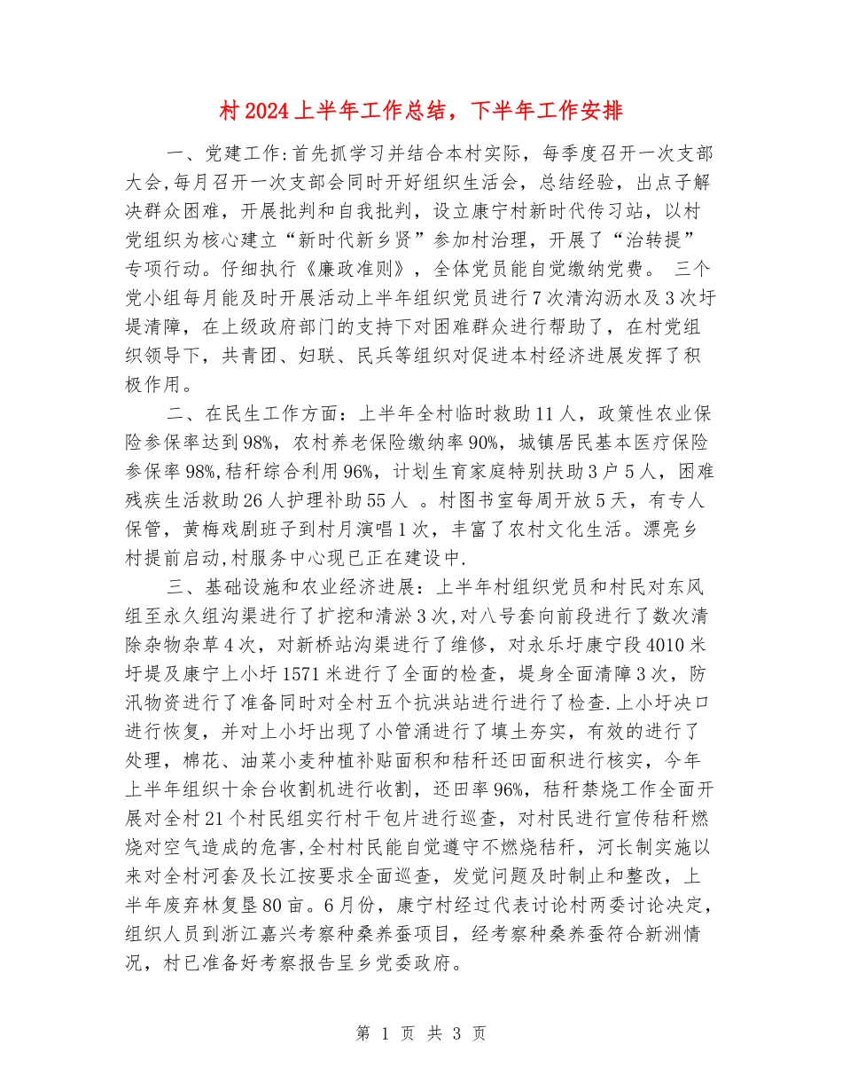 村2024上半年工作总结-下半年工作安排_第1页