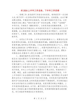 村2024上半年工作总结-下半年工作安排