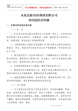 某煤业有限公司防突岗位责任制汇编