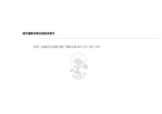 某步行街广告包装推广方案