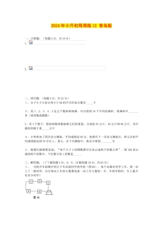 2024年小升初周周练12-青岛版