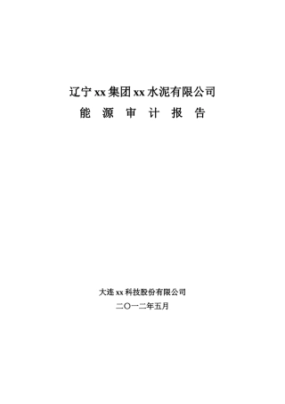 水泥有限公司能源审计报告