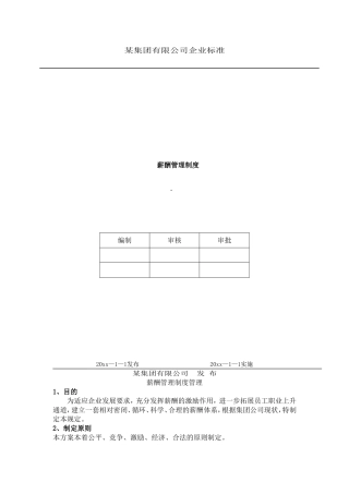 某某集团有限公司企业标准概述