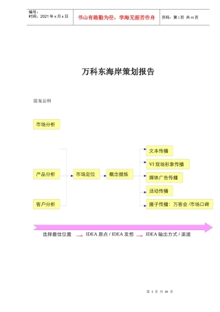 某地产某某岸策划报告