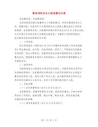 消防安全大排查整治方案