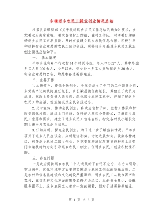 乡镇返乡农民工就业创业情况总结