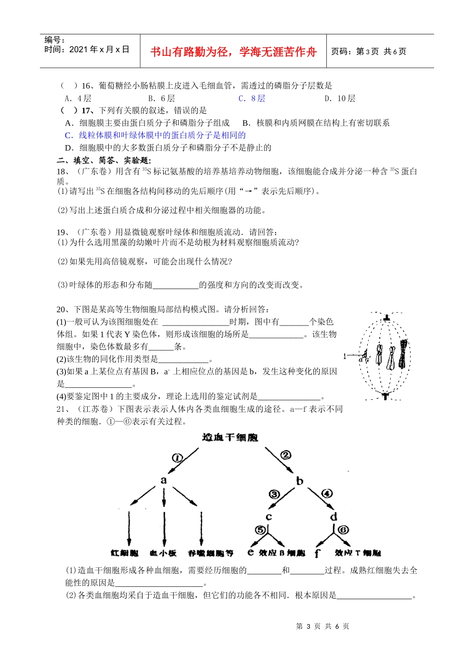 生物体的物质基础和结构基础练习_第3页