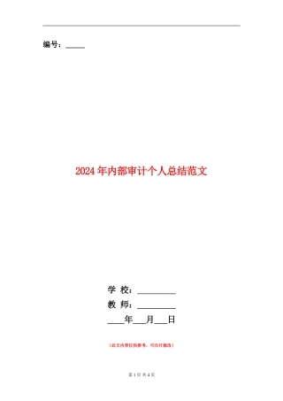 2024年内部审计个人总结范文