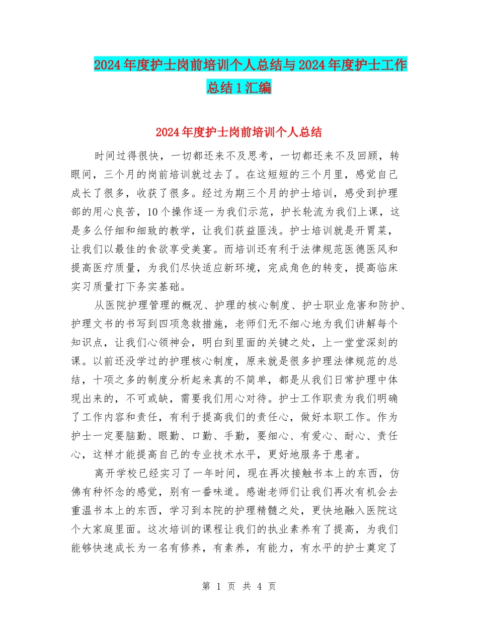 2024年度护士岗前培训个人总结与2024年度护士工作总结1汇编_第1页