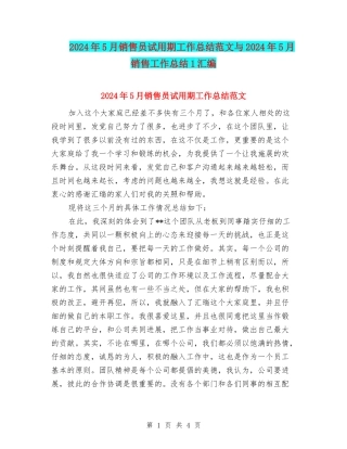 2024年5月销售员试用期工作总结范文与2024年5月销售工作总结1汇编