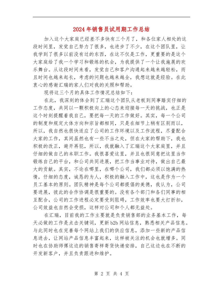 2024年销售员试用期工作总结2_第2页