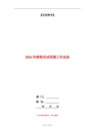 2024年销售员试用期工作总结2