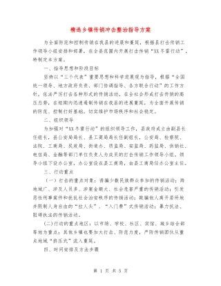 乡镇传销冲击整治指导方案