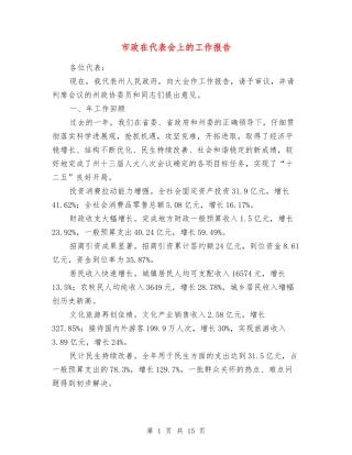 市政在代表会上的工作报告