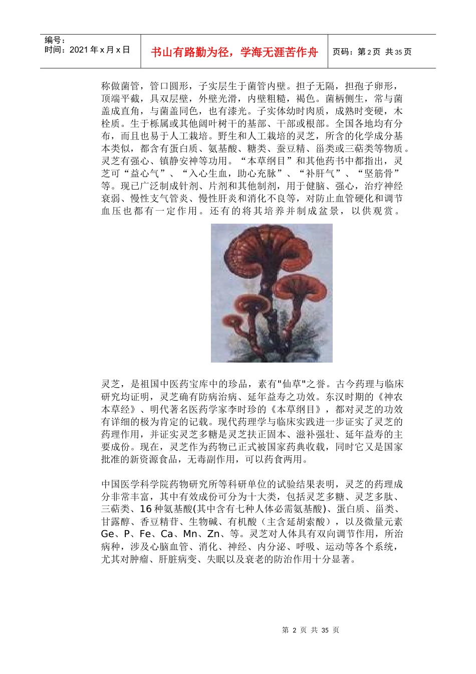 灵芝的药用与食用(1)_第2页