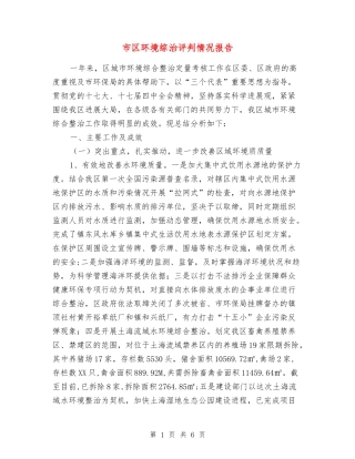 市区环境综治评判情况报告