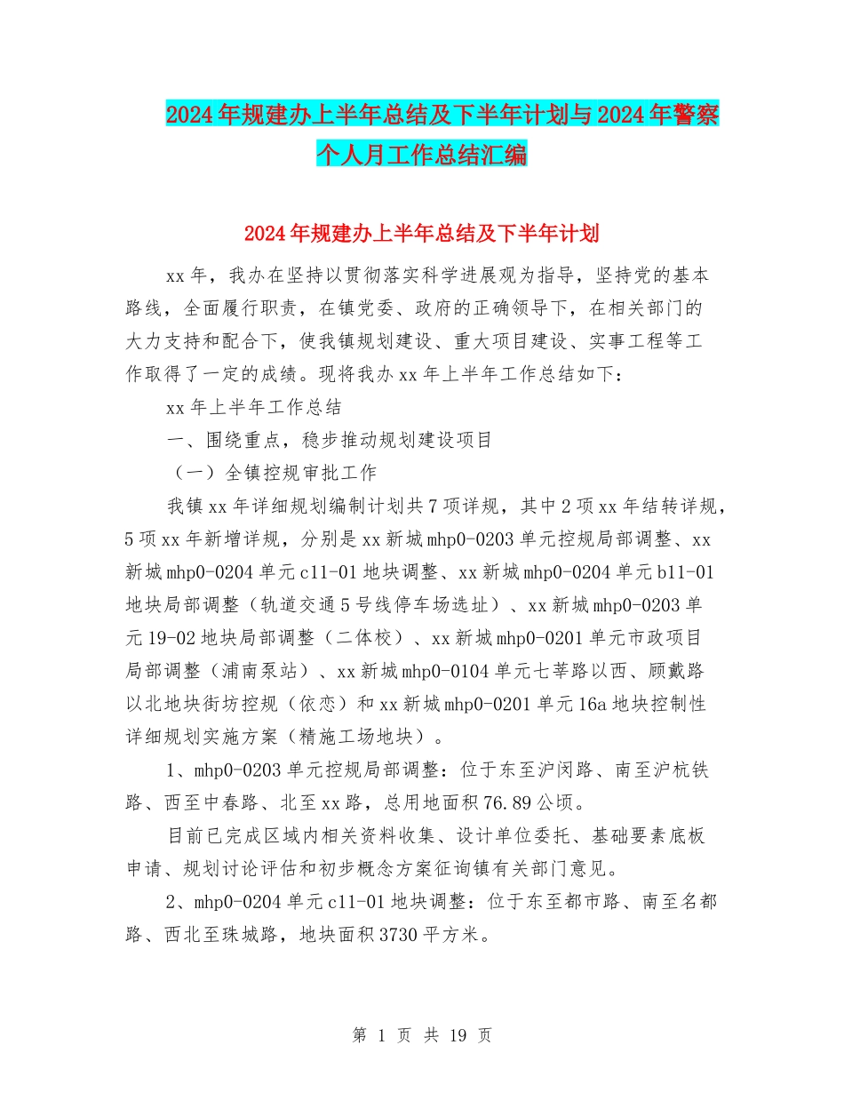 2024年规建办上半年总结及下半年计划与2024年警察个人月工作总结汇编_第1页