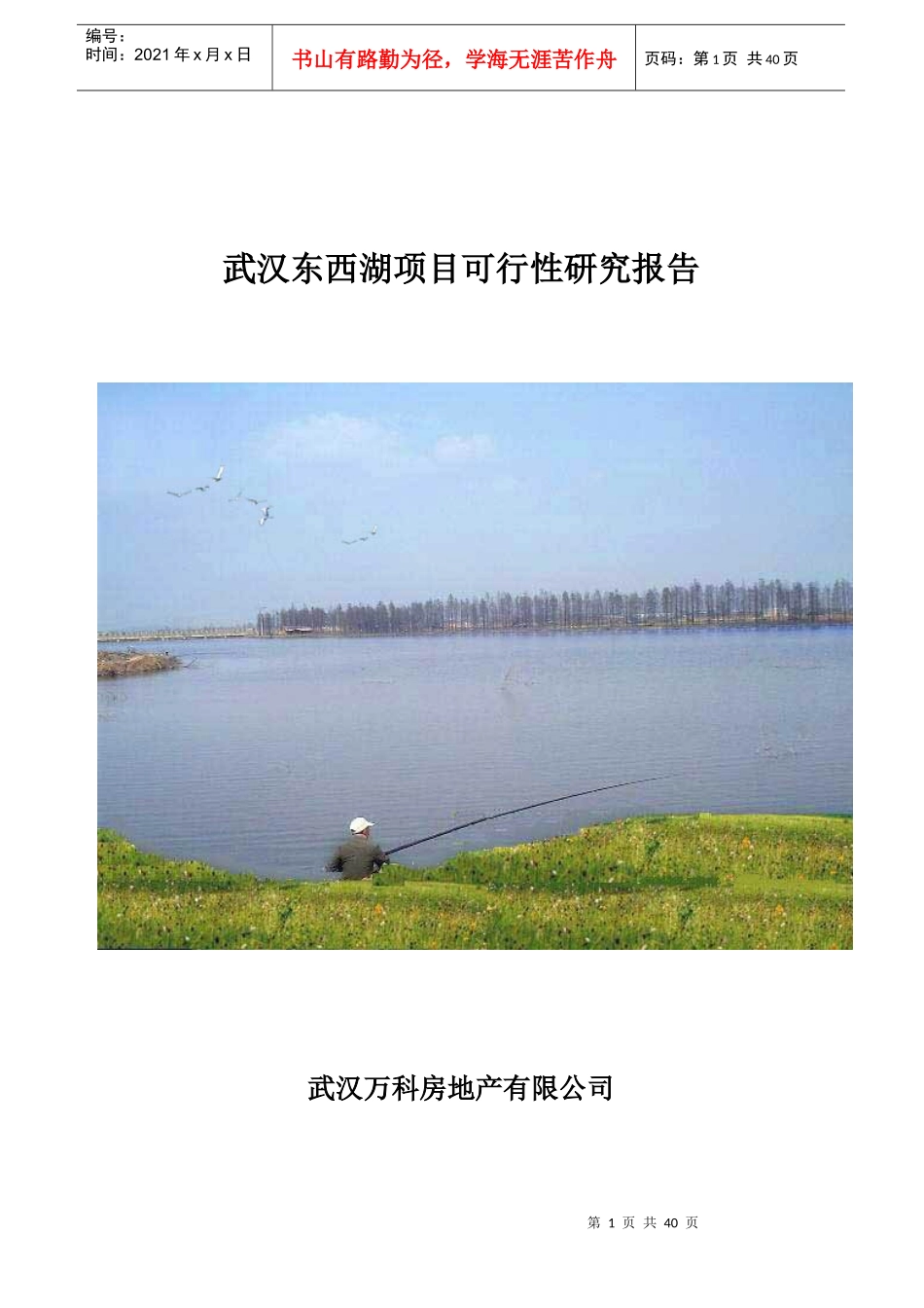 武汉某房地产项目可行性研究报告_第1页