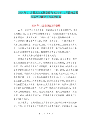 2024年11月县卫生工作总结与2024年11月县地方税务局文化建设工作总结汇编
