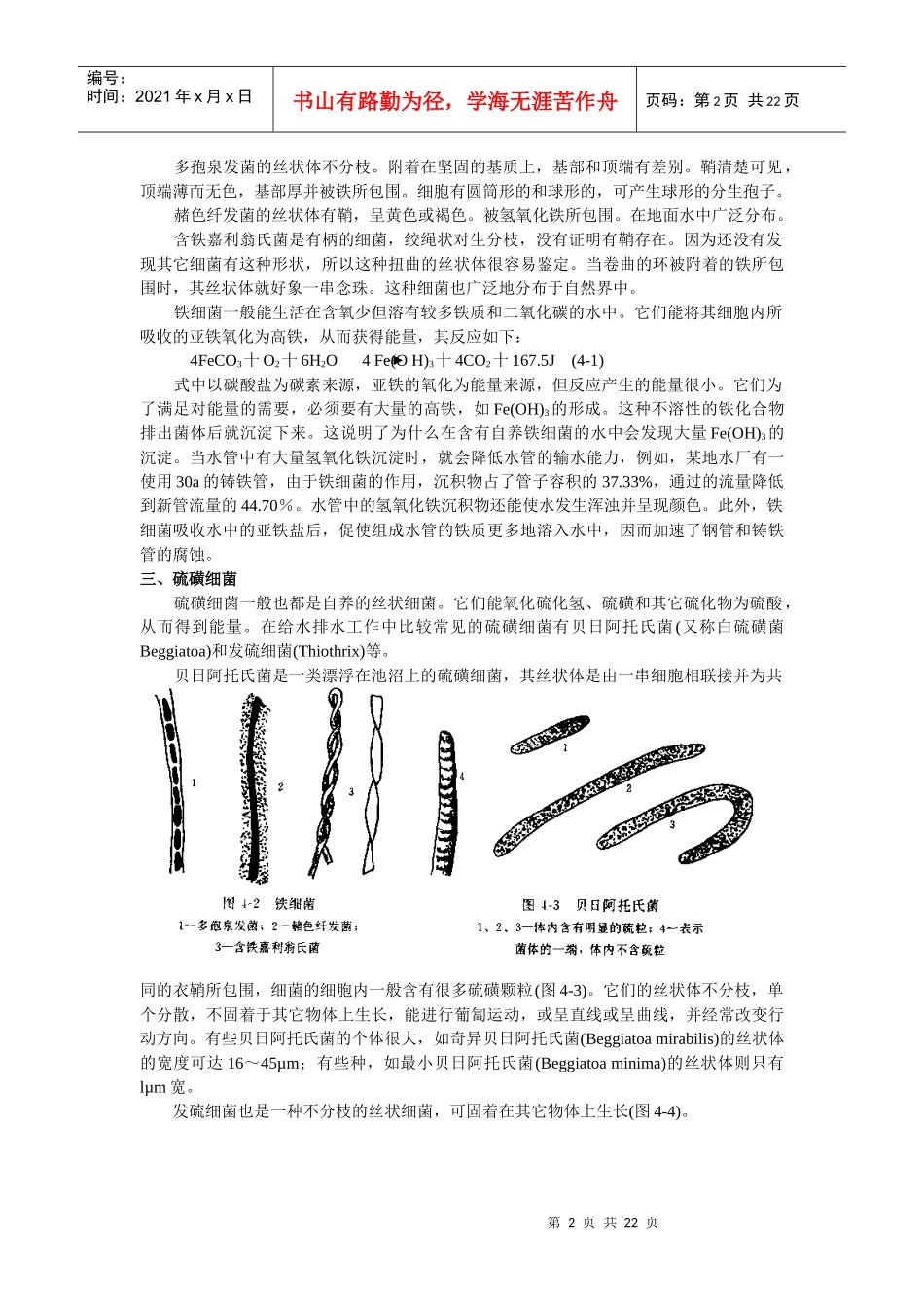 水处理微生物学 第四章 其它微生物_第2页