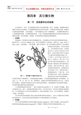 水处理微生物学 第四章 其它微生物