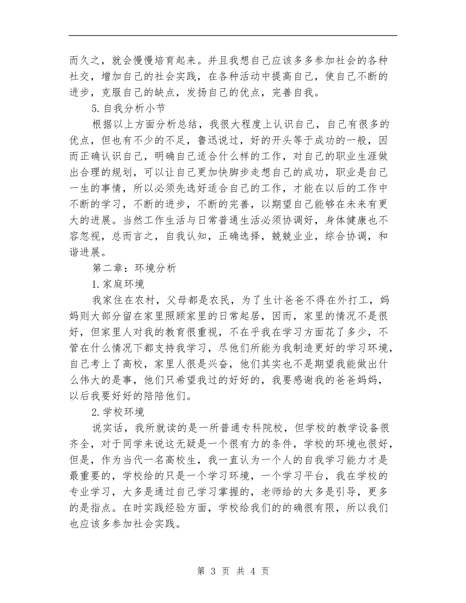 大学生职业生涯工作计划_第3页