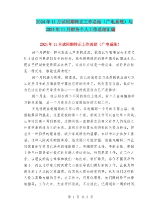 2024年11月试用期转正工作总结与2024年11月财务个人工作总结汇编