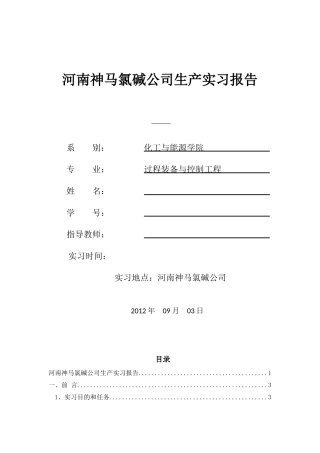 河南神马氯碱化工股份有限公司实习报告