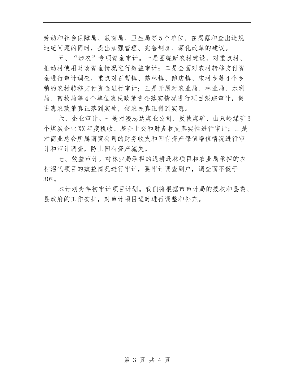 审计机关项目工作打算_第3页