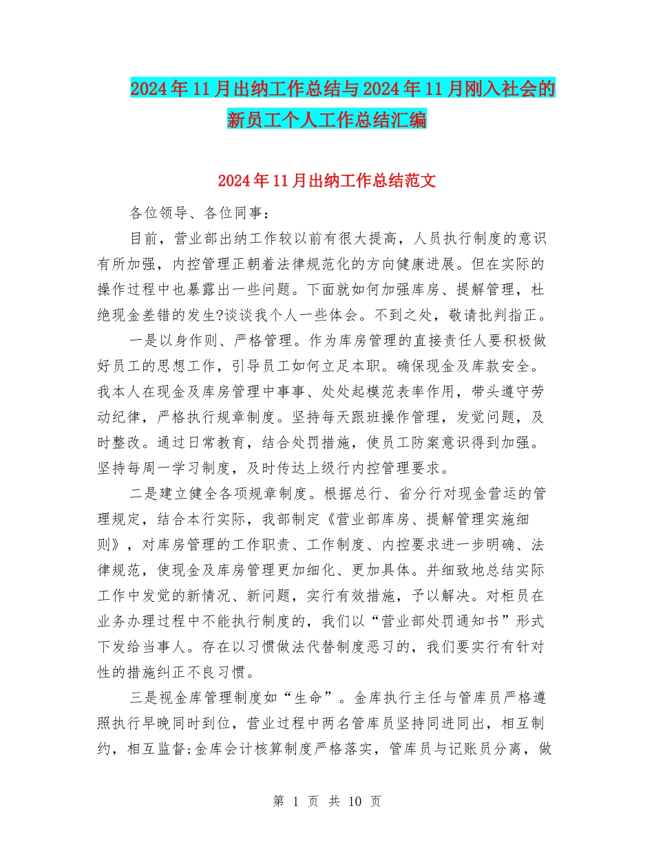 2024年11月出纳工作总结与2024年11月刚入社会的新员工个人工作总结汇编_第1页
