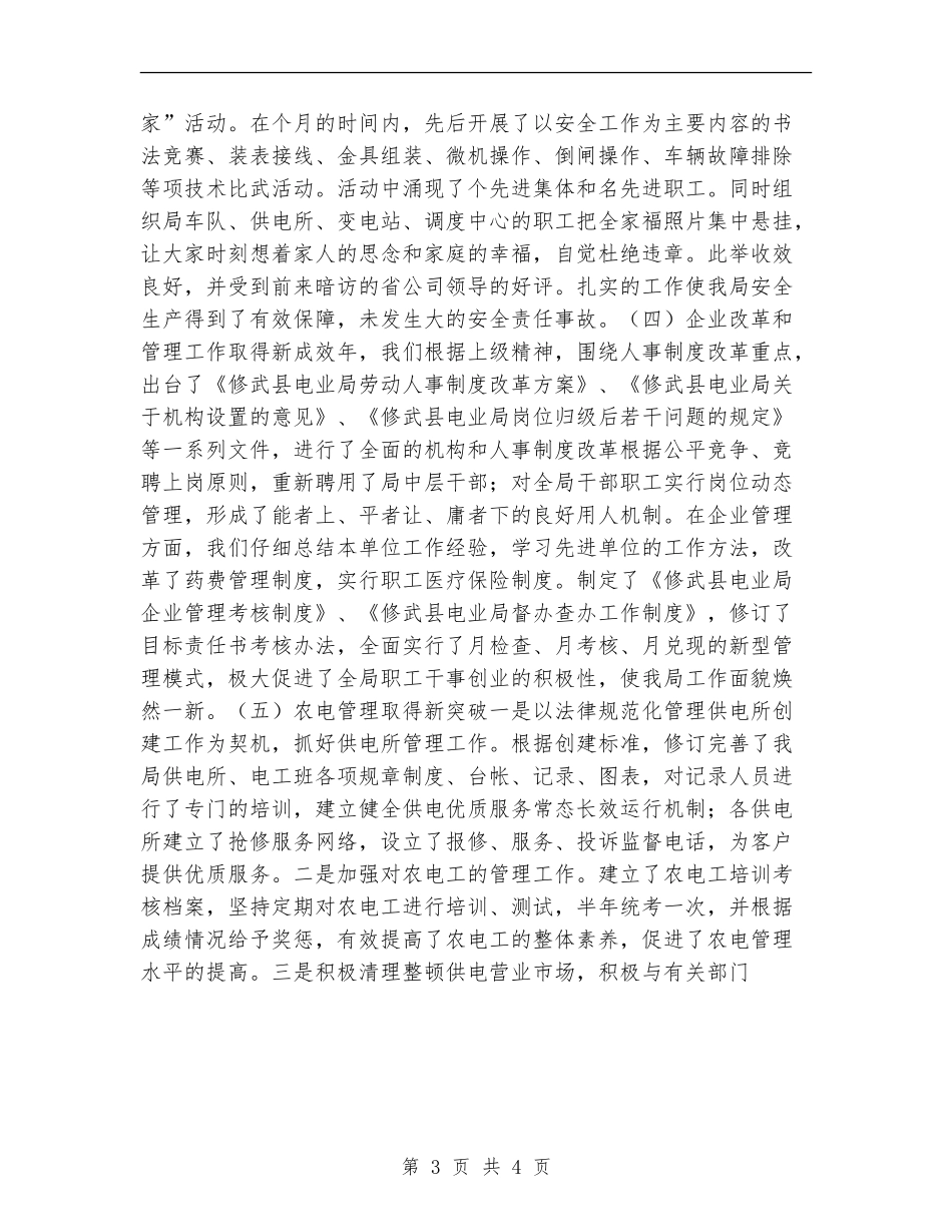 县电业局年度工作总结_第3页