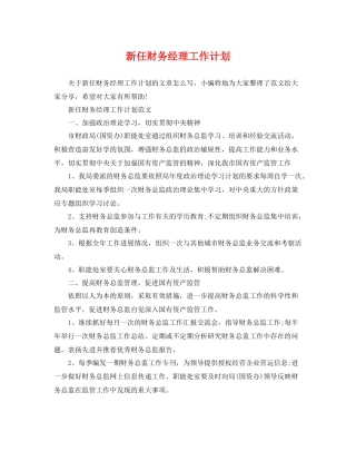 新任财务经理工作计划 