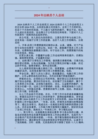 2017年出纳员个人总结