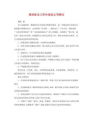 保安队长工作计划怎么写例文 