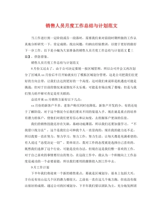 销售人员月度工作总结与计划范文 