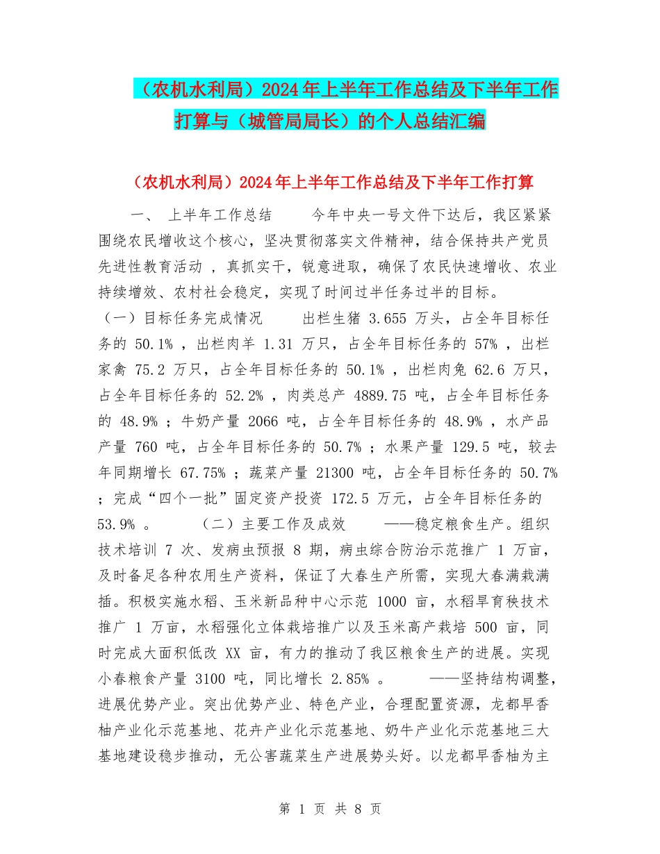 2024年上半年工作总结及下半年工作打算与(城管局局长)的个人总结汇编_第1页