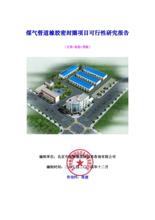 煤气管道橡胶密封圈项目可行性研究报告