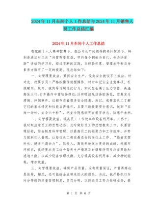 2024年11月车间个人工作总结与2024年11月销售人员工作总结汇编