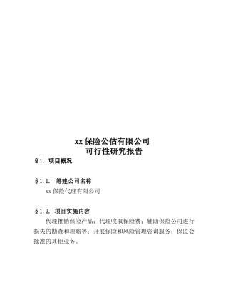 某保险公估有限公司可行性研究报告(doc 42页)