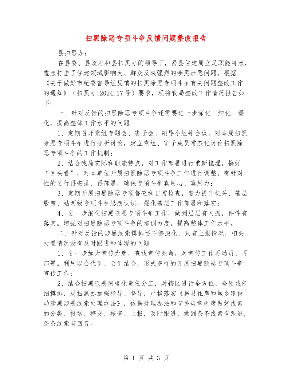 扫黑除恶专项斗争反馈问题整改报告_第1页