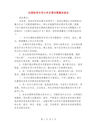 扫黑除恶专项斗争反馈问题整改报告
