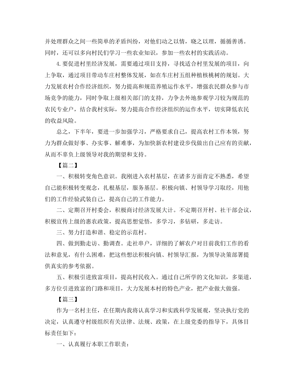 村主任年度工作计划 _第3页